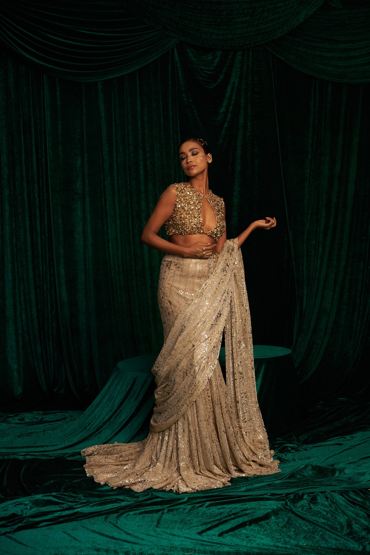 Embroidered Blouse With Fishtail Saree — image 1