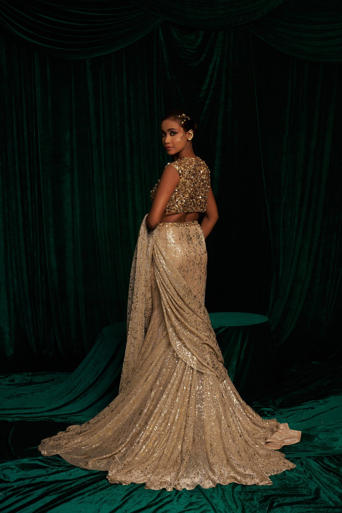 Embroidered Blouse With Fishtail Saree — image 5