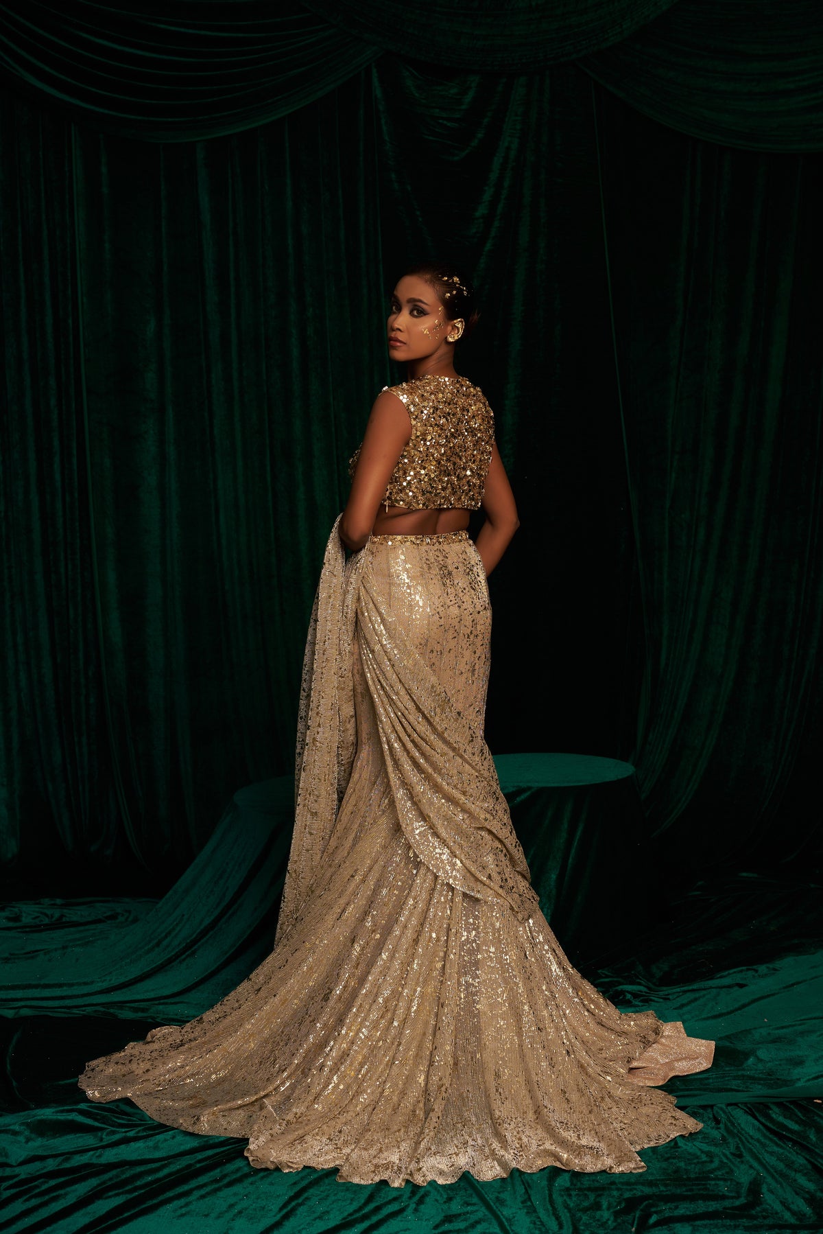 Embroidered Blouse With Fishtail Saree — image 6